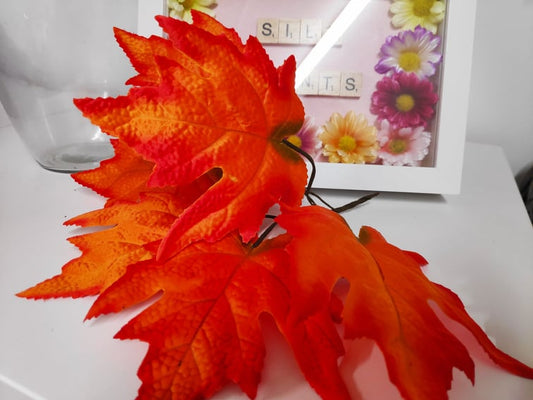 autumn maple leaf filler