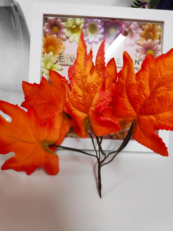 autumn maple leaf filler