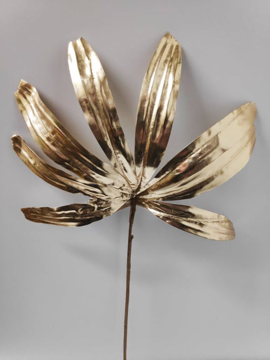 Gold Leaf Palm