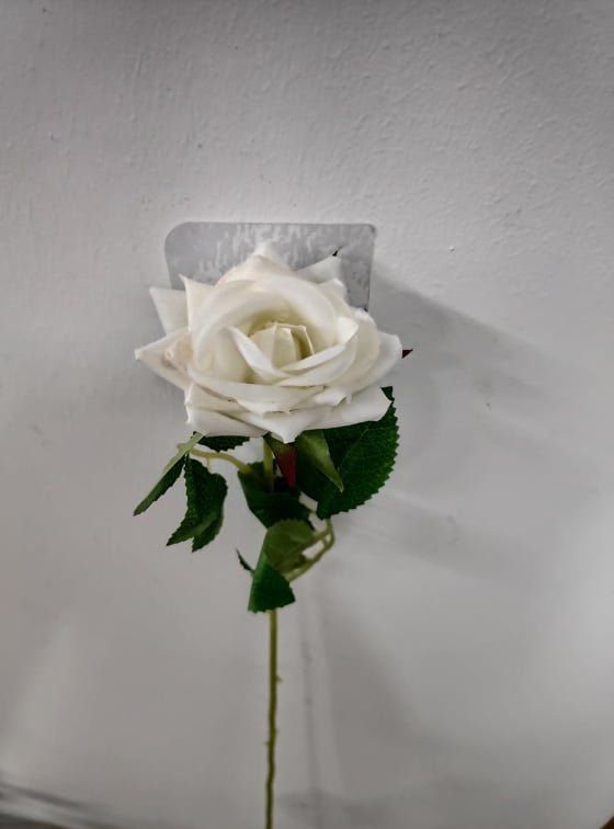 Stemmed Rose Cream 50cm