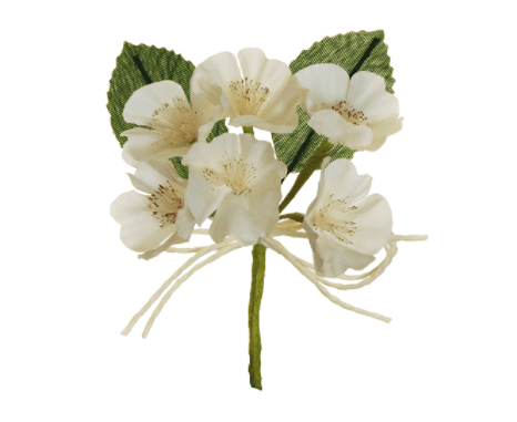 Peach Blossom Pick Ivory