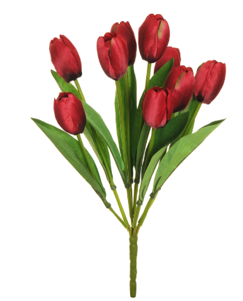 Tulip Bush Red